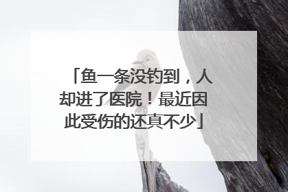鱼一条没钓到，人却进了医院！最近因此受伤的还真不少